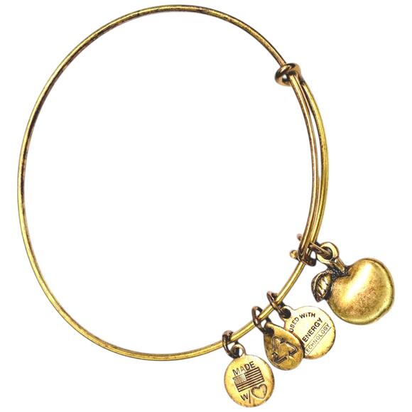 Alex and Ani Lucky Sacred Dove and Apple Gold Tone Expandable Bangle Bracelets - Picture 2 of 5